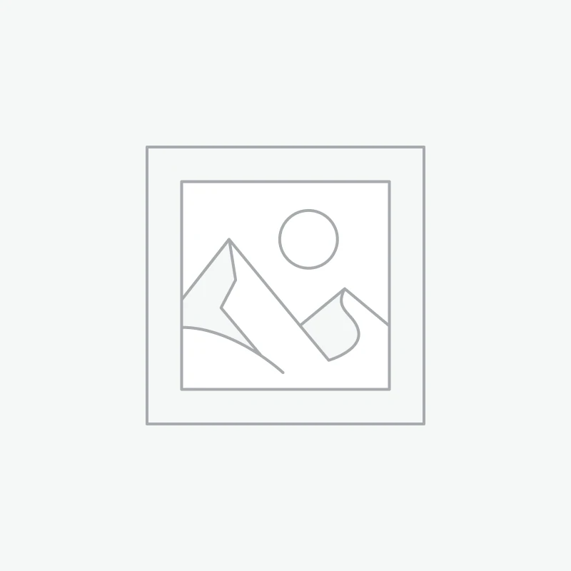 Allice gold necklace